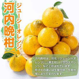 i604 ＜2026年4月下旬～5月下旬の間に発送予定＞＜訳あり＞河内晩柑 (約10kg) 鹿児島 国産 柑橘 果物 果実 フルーツ 蜜柑 みかん 【江崎果樹園】
