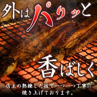 i799 鹿児島県産 鰻重(1人前) うなぎ 鰻 ウナギ うな重 国産 鹿児島県産 おかず 晩御飯 特別な日 土用の丑の日 【とらふぐ家】
