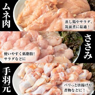 i449 若鶏ムネ肉・手羽元・ささみ(計8kg)鹿児島県産の鶏肉を3種お届け 鶏肉 鳥肉 とり肉 ムネ むね肉 手羽元 ささみ 詰め合わせ セット 国産 鹿児島県産 計8kg 安心安全 【まつぼっくり】
