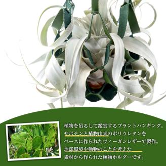 i619 サボテンレザーハンギング(グリーン・植物なし)地球環境や動物に配慮した素材で作られたプラントハンガー！ プラントハンガー 吊り下げ 観葉植物 エアプランツ 地球環境 グリーン インテリア 癒しの空間 植物ホルダー おしゃれ空間 ギフト 贈り物 【kurk PLANT LEATHER】