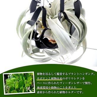 i624 サボテンレザーハンギング(ブラック・植物なし)地球環境や動物に配慮した素材で作られたプラントハンガー！ プラントハンガー 吊り下げ 観葉植物 エアプランツ 地球環境 グリーン インテリア 癒しの空間 植物ホルダー おしゃれ空間 ギフト 贈り物 【kurk PLANT LEATHER】