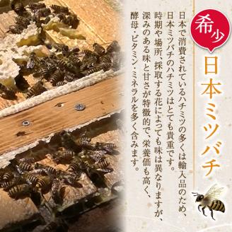 i631 《先行予約受付中！2025年10月上旬～2026年1月下旬の間に発送予定》＜数量・期間限定＞手作りミツロウラップ付き！日本ミツバチ・百花たれ蜜(400g) はちみつ 蜂蜜 ハチミツ ミツロウラップ ラップ 日本ミツバチ 希少 スイーツ 【株式会社フェロー】