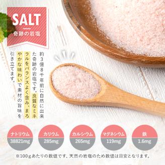 i844-01 ヒマラヤ岩塩ピンクパウダータイプ (100g) 岩塩 塩 調味料 しお 保存料不使用 天然 パウダータイプ グレインミルタイプ 料理 バスソルト 入浴 普段使い ギフト 贈り物 【ソルティースマイル】