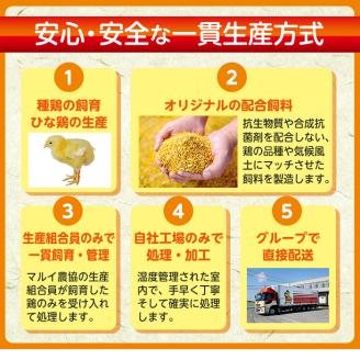 i018 安心安全の国産鶏肉！南国元気鶏セット(5種・計1.55kg)鹿児島 鶏肉 チキン ささみ ムネ肉 ミンチ 冷凍 唐揚げ チャーハン 親子丼 調理【マルイ食品】