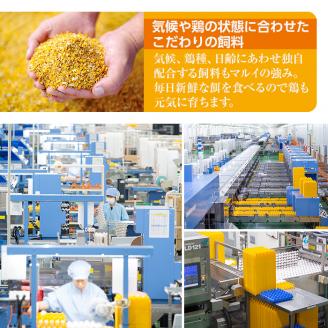 i020 鹿児島県産の赤たまご！マルイの輪(たまご)×36個(6個入り×6パック)養鶏の専門農協で一貫して生産された国産生玉子！業務用 国産 九州産 生卵 卵 たまご 玉子 鶏卵 鶏 M玉 TKG 卵焼き 食品【マルイ食品】