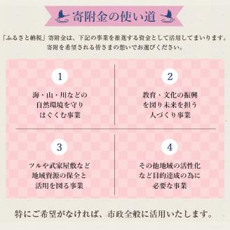 i902 ≪返礼品なし・1,000円≫鹿児島県出水市への寄附【出水市役所】