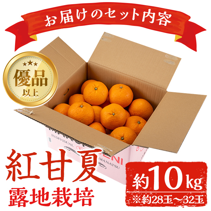 i047 ≪2026年2月中旬～5月中旬の間に発送≫紅甘夏(約10kg) みかん ミカン 蜜柑 果物 くだもの フルーツ 柑橘 10kg 国産 おやつ 旬 【JA鹿児島いずみ(果実課)】