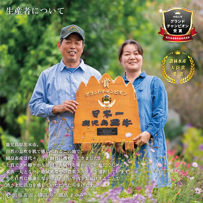 i1070 《希少な1％》園畠牛A5モモステーキ 3枚・240g＆モモスライス 200g セット(計440g) 鹿児島県出水市 黒毛和牛 牛 牛肉 ステーキ スライス モモ セット 鹿児島県産 国産 九州産 A5 A5等級 ブランド牛 冷凍 プレゼント ブランド牛 園畠牛 【園畠畜産】