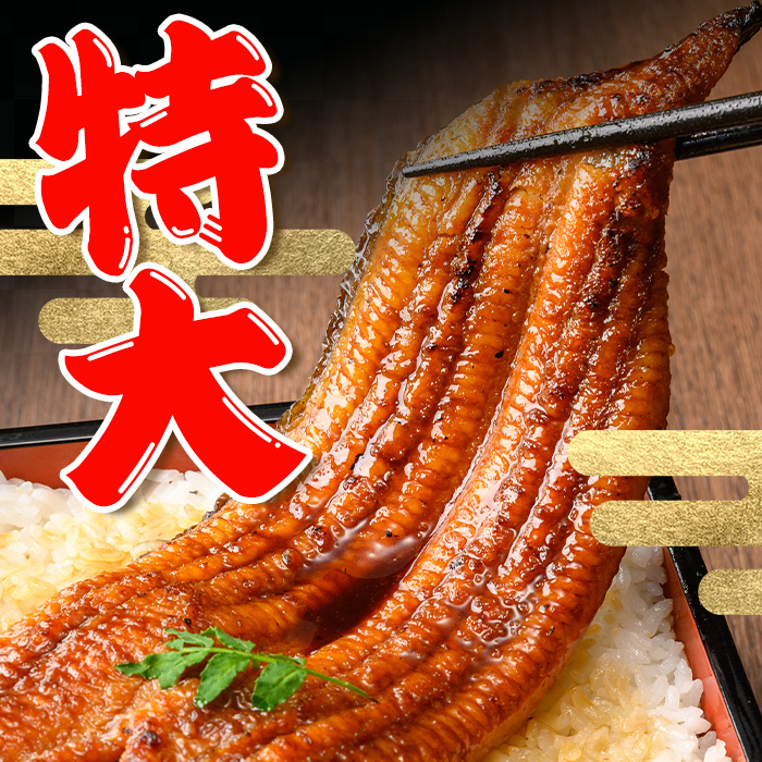 i1078-C ＼特大サイズ／鹿児島県産 うなぎ蒲焼 5尾（約220g×5・計約1100g） たれ 山椒付きうなぎ 鰻 ウナギ 特大 特大サイズ 約220g 蒲焼き 国産 鹿児島県産 焼きたて 生産量日本一 真空パック おかず 晩御飯 特別な日 土用の丑の日 【薩摩川内鰻】