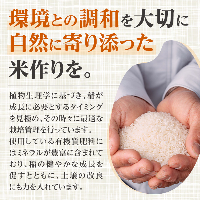i1079-A 令和7年産 鹿児島県 出水市産 ヒノヒカリ (5kg) 米 5kg ひのひかりヒノヒカリ 鹿児島 5キロ お米 九州 九州産 甘み あっさり もちもち 【いずみキッチン】