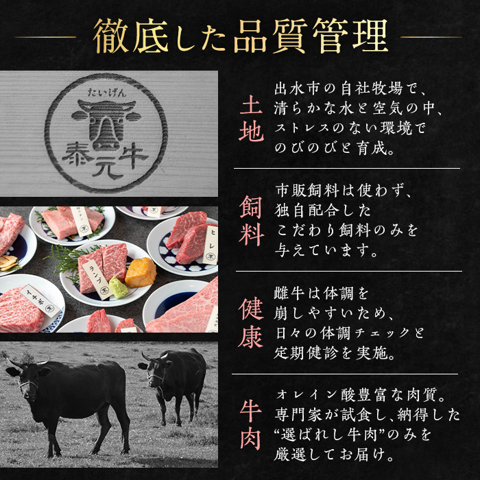 i1136 泰元 共通お食事券(5,000円分) 焼肉 食事券 お食事券 チケット 牛肉 黒毛和牛 肉 福岡 出水 鹿児島 5000円 専門店 グルメ ディナー 焼肉屋 居酒屋 農家直営 地元 雌牛 泰元牛 たいげん 券 記念日 【泰元】