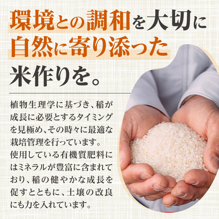 i1179-A 令和7年産 鹿児島県 出水市産 なつほのか (5kg) 米 5kg なつほのか 鹿児島 5キロ お米 九州 九州産 甘み 大粒 【いずみキッチン】