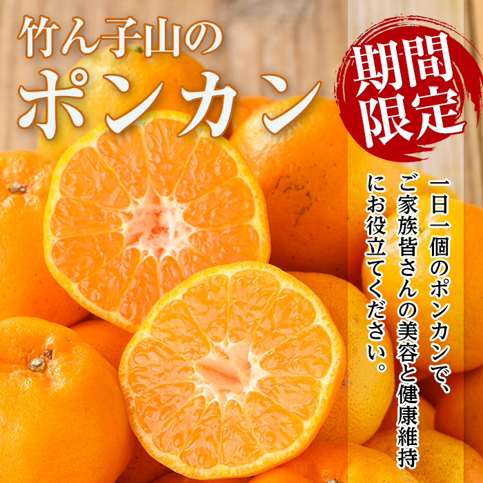 i1342 ≪数量・期間限定≫いずみ産 竹ん子山の柑橘詰め合わせ2種以上(約3～5kg) 鹿児島 国産 九州産 みかん ポンカン ぽんかん しらぬい 不知火 スイートスプリング 柑橘 くだもの フルーツ 果実 セット 詰め合わせ 【イーサイドライン】