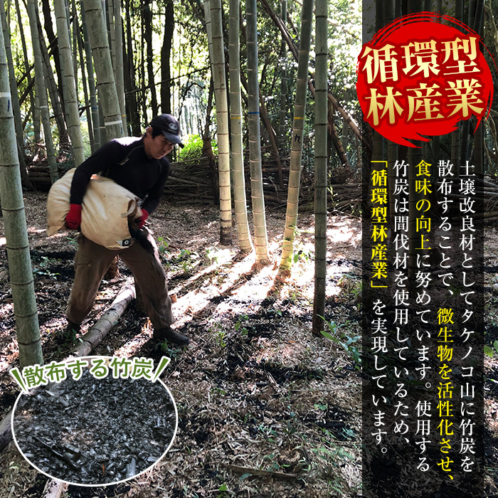 i365 ≪数量限定！先行予約受付中！2026年4月上旬～4月中旬の間に発送予定≫鹿児島県出水市産！タケノコ＜皮付き10kg＞ たけのこ 筍 タケノコ 国産 皮付き 野菜 旬 新鮮 採りたて 煮物 味噌汁 炊き込みご飯 【シンタク】