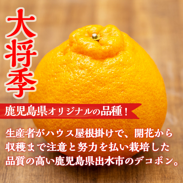 i636 ≪先行予約受付中！2026年1月中旬以降順次発送予定≫【冷蔵便】大将季＜無加温＞ (約5kg) 国産 みかん 柑橘 種果物 くだもの フルーツ 旬 糖度抜群 【JA鹿児島いずみ(果実課)】