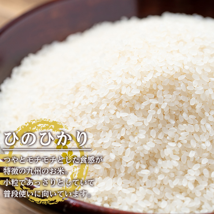 i664 ＜定期便・計12回(連続)＞鹿児島県出水市産ひのひかり美白米＜(3kg×2袋・計6kg)×全12回＞ 米 6kg 計72kg お米 白米 ヒノヒカリ 美白米 定期便 自家脱穀 自家精米 精米 おにぎり ごはん お米マイスター 厳選 【田上商店】