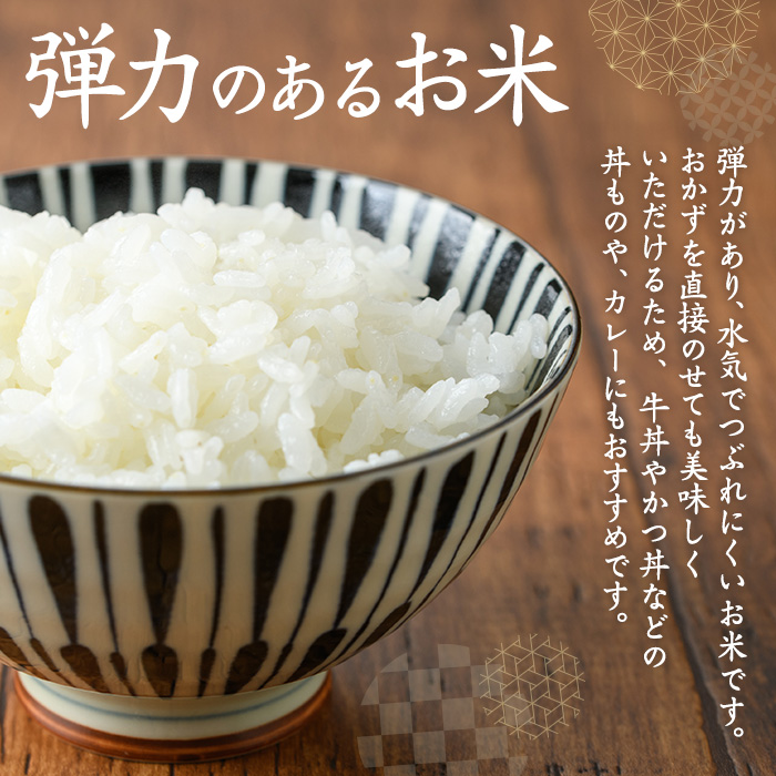 i874-B ＜定期便・計6回(隔月)＞鹿児島県出水市産ヒノヒカリ 山水米 ＜(5kg×1袋)×全6回＞ 米 お米 精米 5kg ブランド米 ごはん ご飯 ひのひかり 白米 おにぎり お弁当 定期便【JA鹿児島いずみ(米)】