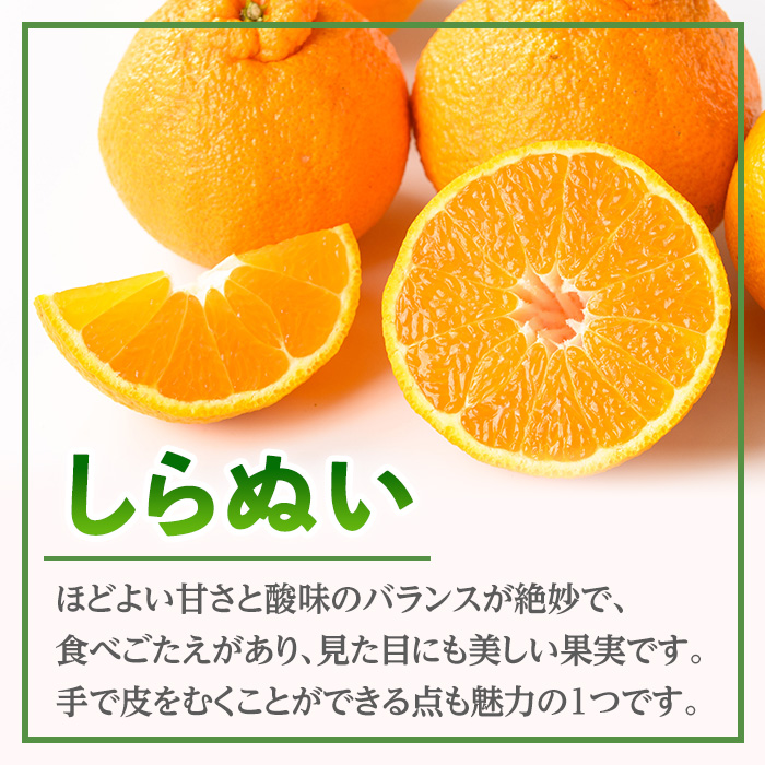 i989 ＜訳あり＞しらぬい(5kg) 数量限定 柑橘 デコポン でこぽん 不知火 しらぬい シラヌヒ 果物 くだもの フルーツ 旬 訳あり 【アーステクノ】