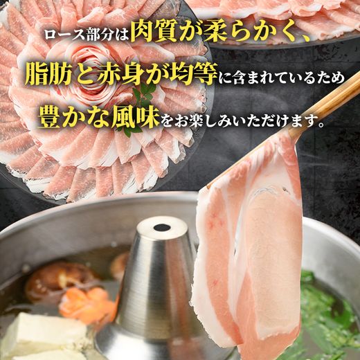 i997 鹿児島県産 黒豚 しゃぶしゃぶ用 ローススライス (計1kg・500g×2パック) 【スターゼン】