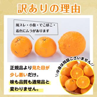 i586 ＜2026年3月下旬～6月中旬の間に発送予定＞《傷ありのため訳あり》農6みかん(約5kg) 果物 フルーツ 柑橘 国産 鹿児島県産 みかん 蜜柑 【江崎果樹園】