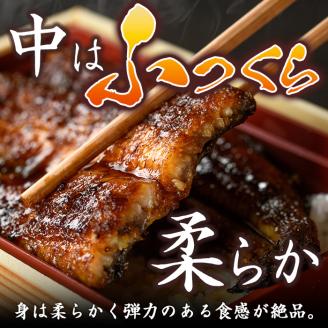 i799 鹿児島県産 鰻重(1人前) うなぎ 鰻 ウナギ うな重 国産 鹿児島県産 おかず 晩御飯 特別な日 土用の丑の日 【とらふぐ家】