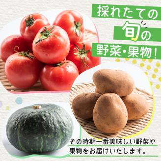 i460 旬の野菜・果物おまかせセット(8～10種類)ツルの恩返し野菜セット！鹿児島県出水市より国産野菜を市場直送！ 野菜 果物 くだもの 詰め合わせ セット 国産 鹿児島県産 市場直送 旬 季節 何が届くかはお楽しみ 【出水市出水駅観光特産品館 飛来里】