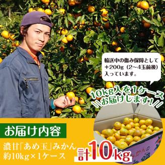 i572 ＜先行予約受付中！2025年11月中旬～2026年1月下旬の間に発送予定＞【特別栽培・最高金賞】温州みかん日本一！濃甘あめ玉みかん(約10kg・1箱＋傷み保障 約200g(3～4玉) みかん 蜜柑 ミカン 柑橘 果物 フルーツ 果実 国産 鹿児島【Farmer friends Marche】