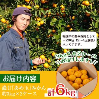 i569 ＜先行予約受付中！2025年11月中旬～2026年1月下旬の間に発送予定＞【特別栽培・最高金賞】温州みかん日本一！濃甘あめ玉みかん(計約6kg・3kg×2箱＋傷み保障 約200g(3～4玉) みかん 蜜柑 ミカン 柑橘 果物 フルーツ 果実 国産 鹿児島【Farmer friends Marche】