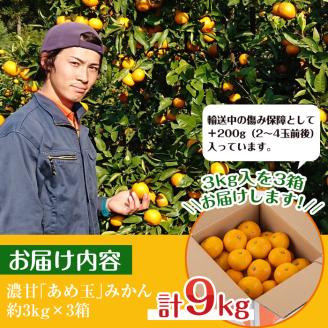 i237  ＜先行予約受付中！2025年11月中旬～2026年1月下旬の間に発送予定＞特別栽培・最高金賞】温州みかん日本一！濃甘あめ玉みかん(計約9kg・3kg×3箱＋傷み保障約200g(3～4玉) みかん 蜜柑 ミカン 柑橘 果物 フルーツ 果実 国産 鹿児島【Farmer friends Marche】