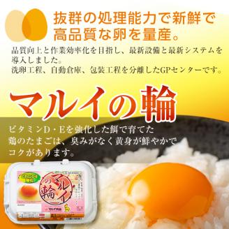 i020 鹿児島県産の赤たまご！マルイの輪(たまご)×36個(6個入り×6パック)養鶏の専門農協で一貫して生産された国産生玉子！業務用 国産 九州産 生卵 卵 たまご 玉子 鶏卵 鶏 M玉 TKG 卵焼き 食品【マルイ食品】