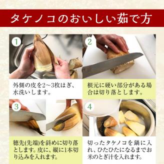 i230 ≪数量限定！先行予約受付中！2026年3月下旬～4月中旬の間に発送≫鹿児島県出水市産！たけのこ＜皮付き2kg＞ たけのこ 筍 タケノコ 国産 皮付き 野菜 旬 新鮮 採りたて 煮物 味噌汁 炊き込みご飯 【シンタク】