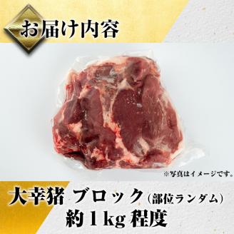 i335 《毎月数量限定》鹿児島県出水市産大幸猪肉のブロック＜部位ランダム・約1kg＞自宅でジビエ料理！【大幸】