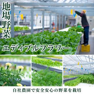 i680 ＜2名様・体験入所＞湯治で湯ったりロングステイ(6泊7日・朝昼夕各６食付) 体験 体験チケット 宿泊 ペアチケット スローライフ ロングステイ 温泉 【ひかりの郷】