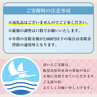i902 ≪返礼品なし・1,000円≫鹿児島県出水市への寄附【出水市役所】