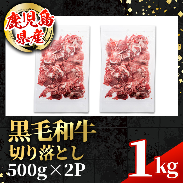 i1000 鹿児島県産 黒毛和牛 切り落とし (計1kg・500g×2パック)【スターゼン】