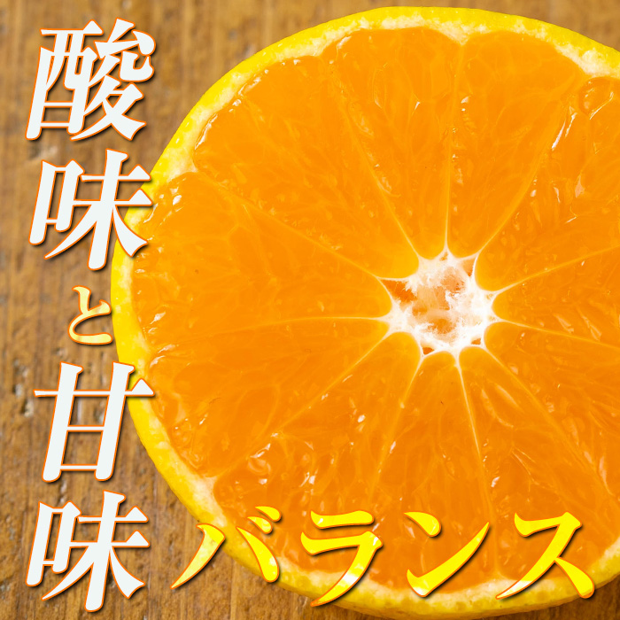i1030 ＜2026年2月上旬~3月上旬の間に順次発送予定＞≪数量・期間限定≫いずみ産 竹ん子山のみかん(約5kg) 鹿児島 国産 九州産 みかん ミカン 蜜柑 柑橘 くだもの フルーツ 果実 【イーサイドライン】