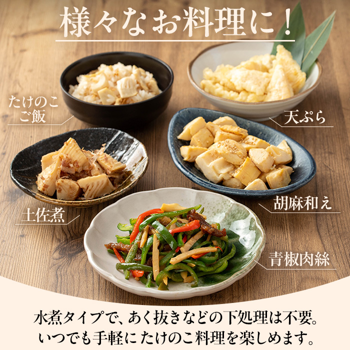 i1056 国産たけのこ水煮 穂先のみ (計1.7kg・170g×10P) 小分け 国産 九州産 たけのこ 筍 タケノコ  水煮 常温保存 常温 料理 煮物 炊き込みご飯 おでん 料理 お手軽 【旬彩館】