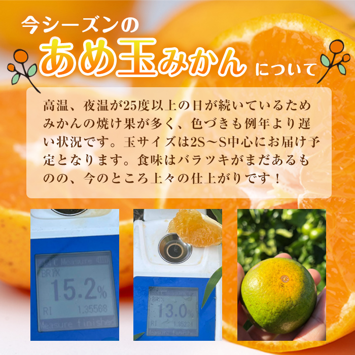 i1059-C ＜先行予約受付中！2025年11月中旬～2026年1月下旬の間に発送予定＞【特別栽培・最高金賞】温州みかん日本一！濃甘あめ玉みかん～プレミアム 恵み～(約2kg・Lサイズ) みかん 蜜柑 ミカン 柑橘 果物 フルーツ 果実 国産 鹿児島 プレミアム 厳選 ギフト プレゼント 贈答用 贈り物 【Farmer friends Marche】