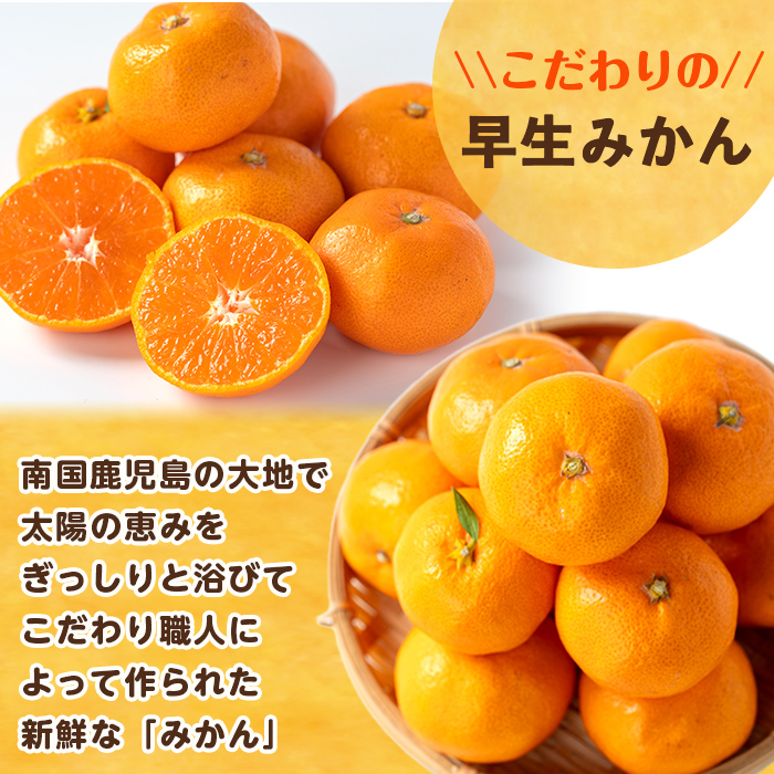 i1069-B ＜数量・期間限定＞《傷ありのため訳あり》鹿児島みかん 早生系 (約5kg) みかん 蜜柑 ミカン 柑橘 早生 果物 フルーツ 果実 国産 鹿児島 訳あり 数量限定 期間限定 【江崎果樹園】