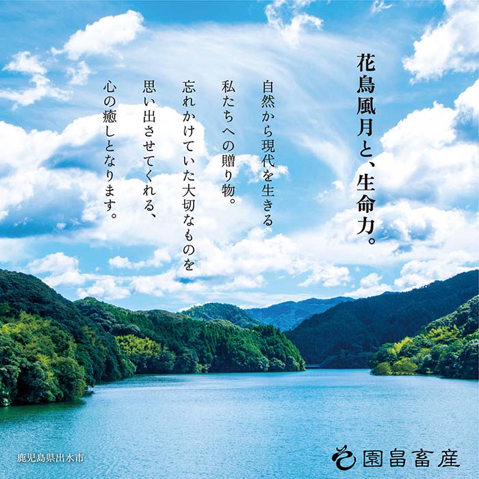 i1070 《希少な1％》園畠牛A5モモステーキ 3枚・240g＆モモスライス 200g セット(計440g) 鹿児島県出水市 黒毛和牛 牛 牛肉 ステーキ スライス モモ セット 鹿児島県産 国産 九州産 A5 A5等級 ブランド牛 冷凍 プレゼント ブランド牛 園畠牛 【園畠畜産】
