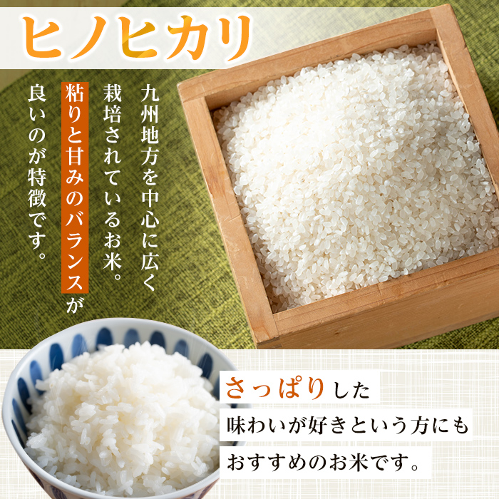i1079-B ＜令和7年産 新米＞鹿児島県 出水市産 ヒノヒカリ(計10kg・5kg×2袋) 米 10kg ひのひかりヒノヒカリ 鹿児島 10キロ お米 九州 九州産 甘み あっさり もちもち 新米 【いずみキッチン】