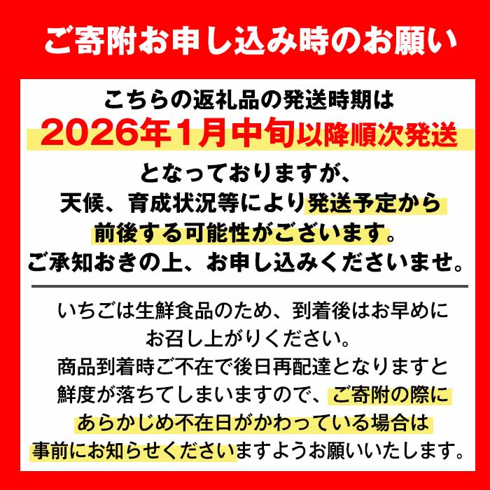 i109 ＜2026年1月中旬以降順次発送予定＞＜ギフト用・数量限定＞ 鹿児島県産イチゴ(計約1.4kg・40粒×2箱) イチゴ 苺 さがほのか 果物 くだもの フルーツ 旬 九州産 プレゼント ギフト 贈り物 お土産 【JA鹿児島いずみ】