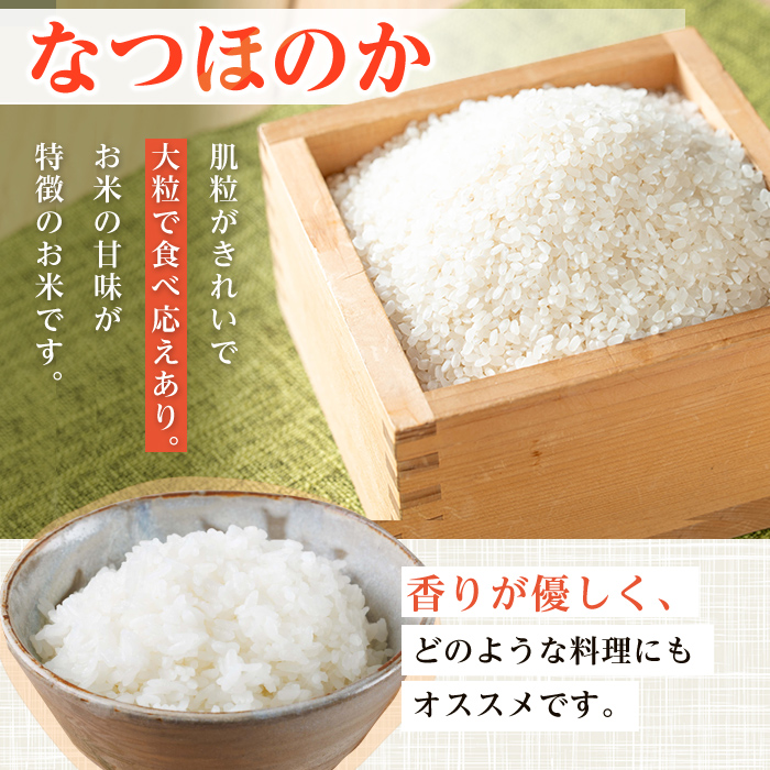 i1179-B 令和7年産 鹿児島県 出水市産 なつほのか (計10kg・5kg×2袋) 米 10kg なつほのか 鹿児島 10キロ お米 九州 九州産 甘み 大粒 【いずみキッチン】