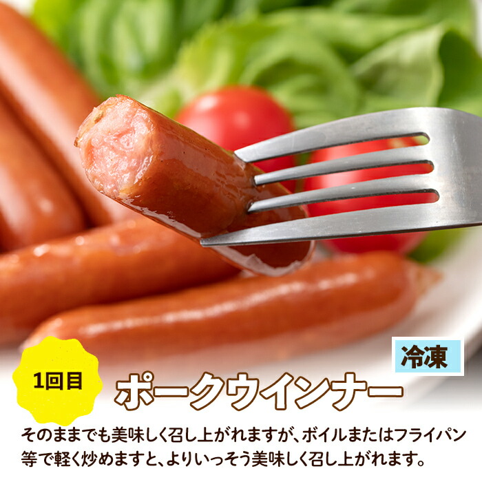 i1205-A ＜定期便・計3回(連続月)＞ ナンチク 加工品 セット ( Newポークウインナー / 焼き豚 / サラダハム ) 定期便 訳アリ ウインナー ソーセージ 焼き豚 チャーシュー サラダハム 簡易包装 業務用 人気 連続月【ナンチク】