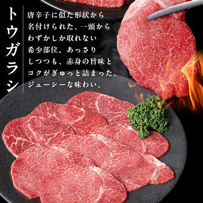 i1336 鹿児島県産 黒毛和牛 赤身希少部位セット焼肉用(計600g) カタ三角 トウガラシ 希少 部位 赤身 焼肉 国産 九州産 牛肉 国産牛 セット レア 小分け 焼き肉 BBQ 冷凍配送 【スターゼン】