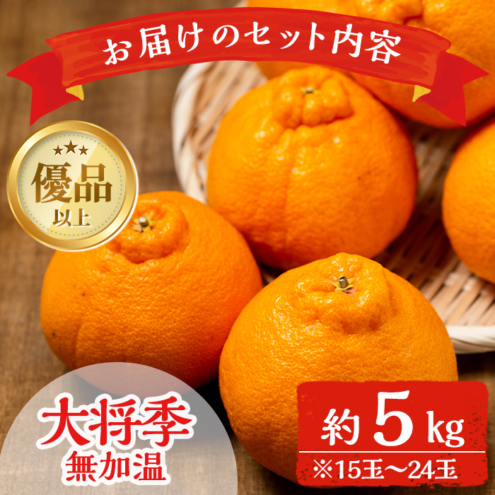 i636 ≪先行予約受付中！2026年1月中旬以降順次発送予定≫【冷蔵便】大将季＜無加温＞ (約5kg) 国産 みかん 柑橘 種果物 くだもの フルーツ 旬 糖度抜群 【JA鹿児島いずみ(果実課)】