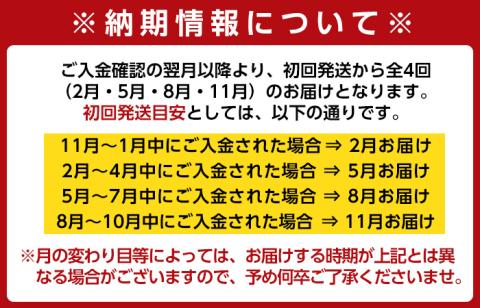 i536 ＜定期便・計4回(2月・5月・8月・11月)＞不揃いのため訳あり！九州産たけのこ水煮＜(計1.6kg・200g×8P)×全4回＞【マツバラ】