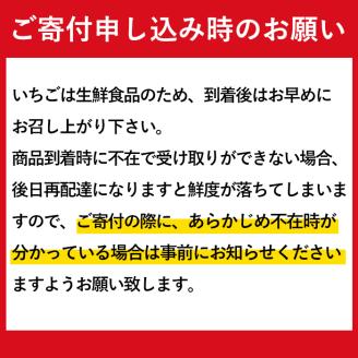 i790 ＜先行予約受付中！2026年1月上旬から4月上旬の間に発送！＞いちご さがほのか(計約1kg・250g×4P) いちご 苺 イチゴ 果物 くだもの フルーツ 旬 さがほのか 鹿児島県産 高尾野産 九州産 【山ん神】