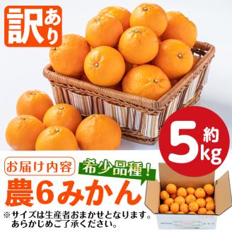 i586 ＜2026年3月下旬～6月中旬の間に発送予定＞《傷ありのため訳あり》農6みかん(約5kg) 果物 フルーツ 柑橘 国産 鹿児島県産 みかん 蜜柑 【江崎果樹園】