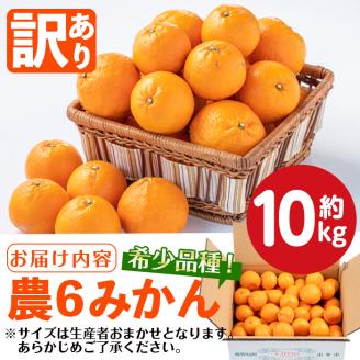 i594 ＜2026年3月下旬～6月中旬の間に発送予定＞《傷ありのため訳あり》農6みかん(約10kg) 果物 フルーツ 柑橘 国産 鹿児島県産 みかん 蜜柑 【江崎果樹園】